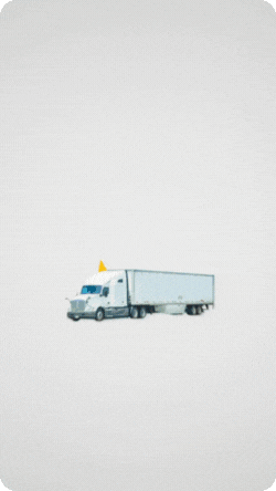 Gif 3