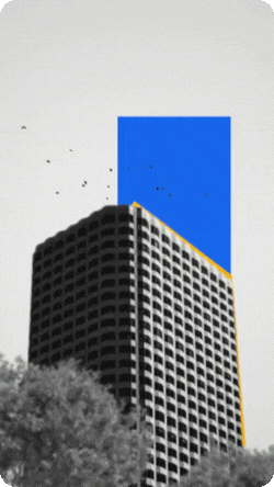 Gif 6